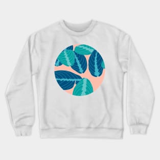 Prayer plant circle Crewneck Sweatshirt